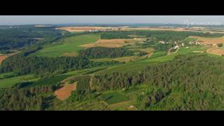 The vineyard of Bourgogne seen from the sky – Côte et Hautes Côtes de Nuits [upl. by Yrag235]