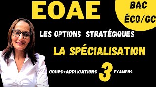 BAC ECOGC  Les options stratégiques La spécialisation  corrigés des nationaux 20202019et 2018 [upl. by Ahsir290]