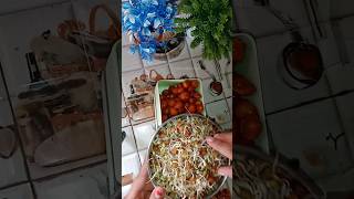 20 June 2024 lunch box ideaallfoodkitchen shorts youtubeshorts shortvideo [upl. by Aicekan]