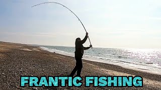 Frantic flatfish fishing [upl. by Sweatt]