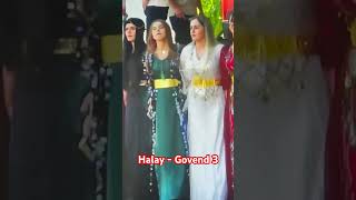 Halay Govend Davul zurna saz Hakkari Sirnak Uludere Cizre Mashallah genc kizlarimiza Siyar Bervari [upl. by Auqinot]