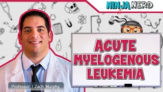 Acute Myelogenous Leukemia AML [upl. by Nnoryt]