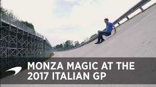 Monza Magic  Explore Italys famous F1 circuit [upl. by Kendry]