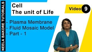 Cell  The unit of Life  NEET  Plasma Membrane  Fluid Mosaic Model  Part  1  Neela Bakore [upl. by Ahsert368]