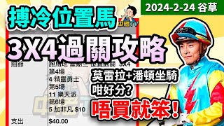 【中佬賽馬貼士 冷馬精選】（2月21日谷草）搏冷位置馬 3x4過關真飛攻略｜賽馬賠率 賽馬直播 賽馬貼士冷馬高風險高回報四連環 [upl. by Jacoba325]