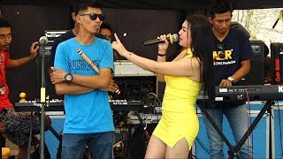 PERCUMA Risa Amelia  New ABR Live Gebyar Crewek [upl. by Seow828]