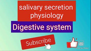 salivary secretion physiology git digestivesystem [upl. by Krahling312]