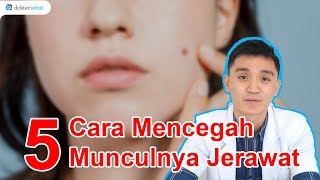 5 Cara AMPUH Mencegah Munculnya JERAWAT  DokterSehat [upl. by Ynney]