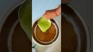 pani puri pani recipe 😋 minivlog shorts shortvideo youtubeshorts [upl. by Ariaz297]