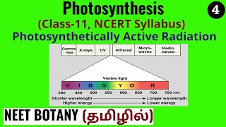 What is Photosynthetically Active Radiation  NEET Botany Simplified in Tamil [upl. by Ailed873]