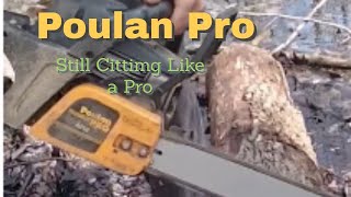 Poulan Pro Cutting like a pro [upl. by Aenea]