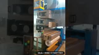 HT fdy polypropylene melt multifilament yarn spinning machine plant [upl. by Tterb]