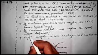 Resting membrane potential RMP BIOLOGY CLASS 12 CHAPTER 17 [upl. by Swarts585]