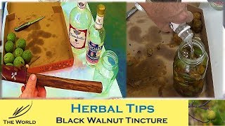 Black Walnut Tincture [upl. by Arayc]