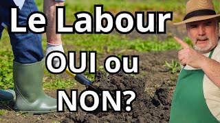 Estce la Fin du Labour au Potager  Quel Impact sur Votre Potager Découvrez les Alternatives [upl. by Ylen]