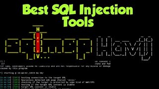 Automated Tools Sql NINJA cybersecurity hack hacker ethicalhacking bugbounty ctf cve shorts [upl. by Sacken530]