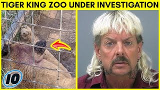 Zoo From Tiger King Under Investigation [upl. by Hgielra782]