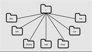 Learning the Linux File System [upl. by Cohbert843]