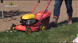 Calendrier du jardinier mai  que faire au jardin  Truffaut [upl. by Hamer]