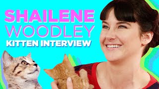 Shailene Woodley Plays With Kittens While Answering Fan Questions [upl. by Sebbie645]