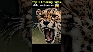 10 Amazing Facts  Hindi Facts  shorts facts [upl. by Argus900]