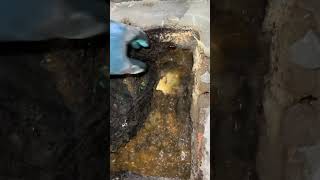 Unclogging Drains with a Plumbers Helper The Ultimate Guide [upl. by Anoit]