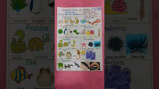 vertebrates and invertebrates animals shorts viral animals science [upl. by Shanon]