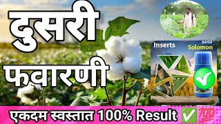 कपाशीवरील दुसरी फवारणीSolomon insecticideBiovita x  kitazin insecticide [upl. by Mattheus389]