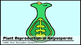 Plant Reproduction in Angiosperms [upl. by Alleuol767]