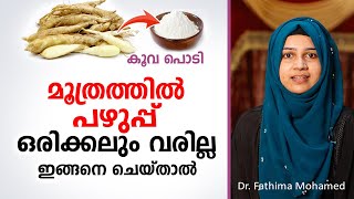 മൂത്രത്തിൽ പഴുപ്പ് ഒരിക്കലും വരില്ല ഈ കാര്യം ശ്രദ്ധിച്ചാൽ  Urinary Infection Malayalam [upl. by Tillio148]