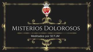 Misterios Dolorosos  Meditados por SCTJM [upl. by Arymat]