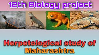 12th Biology project on Herpetological diversity of Maharashtra [upl. by Pelag]