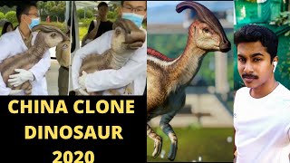 Real dinosaur animal found in China  China Clone Dinosaur  Praveen vlogs [upl. by Ecydnarb]