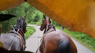 The Tatra mountains with Kevstours [upl. by Mchail]