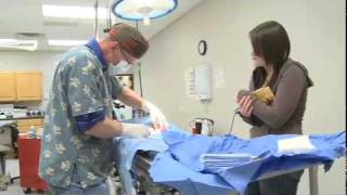 Preveterinary Medicine at Concordia College Moorhead [upl. by Ahseikal]