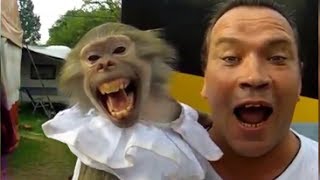 Monkey and Guy Screaming FUNNY [upl. by Yauqram]