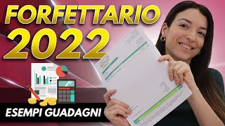 REGIME FORFETTARIO 2024 La Guida completa [upl. by Euqinad]