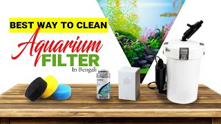 How To Clean Any Aquarium Filter  সম্পূর্ণ বাংলায় [upl. by Wilson]