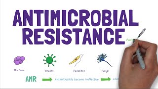 Antimicrobial Resistance AMR Stopping the rise of superbugs [upl. by Cottle]