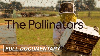 The Pollinators FULL MOVIE Bees Food Supply Environment  AwardWinning Documentary [upl. by Ardnuhsed621]