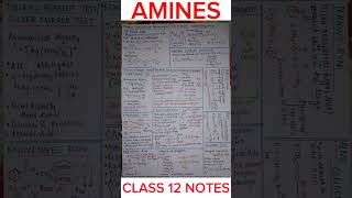 AMINES Class 12 Notes  Handwritten Notes [upl. by Moia]