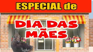 Calopsitas  Especial de DIA DAS MÃES  TENTE NÃO RIR  MEMES [upl. by Itnava]