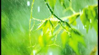 10 Minutes of relaxing rain sounds for Meditation Ideal for Beginners [upl. by Kimberli653]