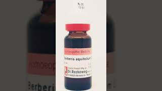 Berberis aquifolium Berberis aquifolium homeopathic medicine Berberis aquifolium Q shorts skin [upl. by Naimed]