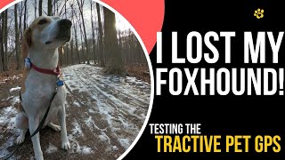 Lets test a dog GPS  Using the Tractive in real life [upl. by Huey]