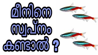 fish swapnam kandal swapna vyakyanam islam malayalam islamic speech meen sopna vakyanam phalam dream [upl. by Soinotna137]