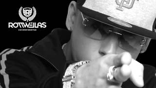 Dime Con Quien Andas Audio  Cosculluela El Principe [upl. by Retsim13]