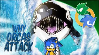 The Sonic Theorist The Real Reason the Orcas Attack Sonic [upl. by Valsimot690]