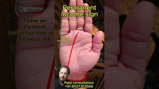 Permanent Income sign RSPalmistryanalysis astrology hastrekha permanent income millionaire [upl. by Pincas]