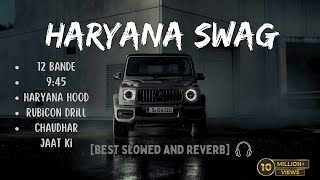 Haryana Swag🔥🥶  Best Slowed and Reverb Songs   Top Attitude Songs🔥 [upl. by Eppesiug]